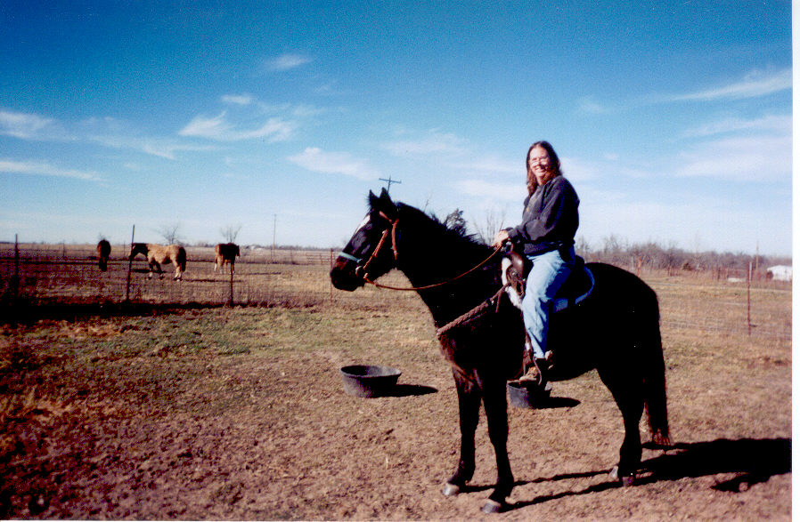 hihowildstallion.jpg